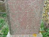 image of grave number 552210